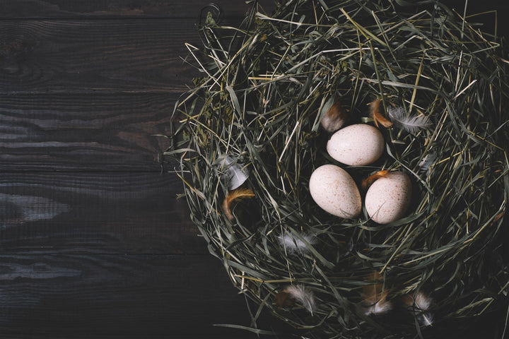 ماذا ينتظرك بعد رؤية ثلاث بيضات فقط في منامك؟