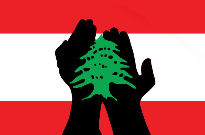 مع الظروف الصعبة والنزوح… إليكم طرق موثوقة للتبرّع للبنان!